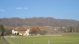 La ferme du Grand-Pré à Luins.