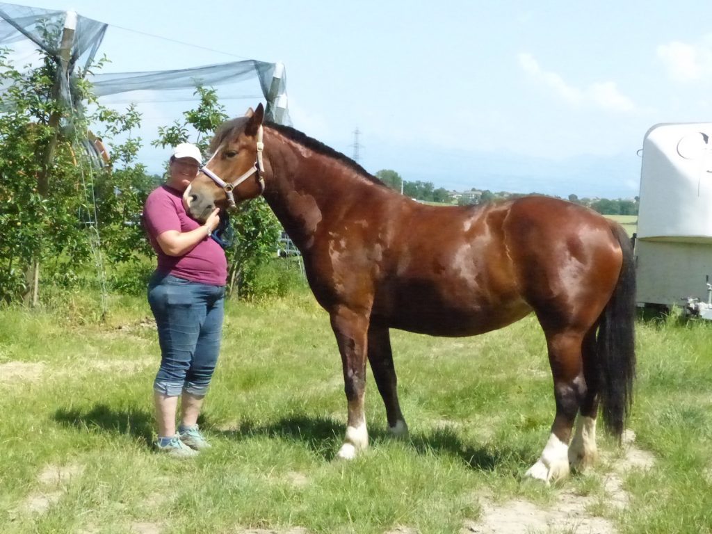 Myriam et le cheval, une histoire d'amour.